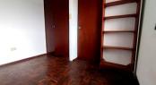 Belgrano al 2000