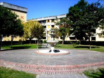 Docente