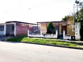 El Tribuno
